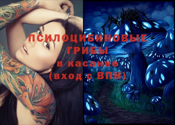 амф Абинск