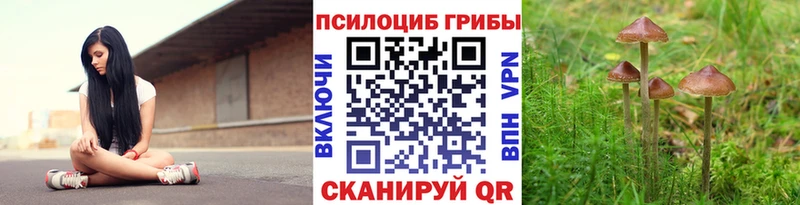 Псилоцибиновые грибы прущие грибы  Дивногорск 